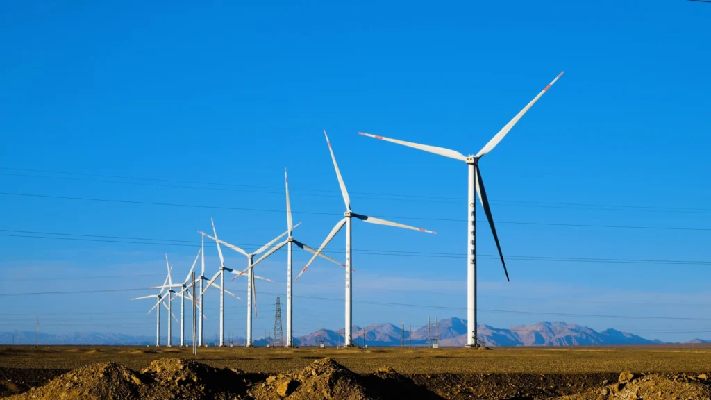 wind farm